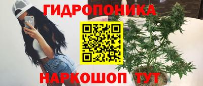 a pvp Можга