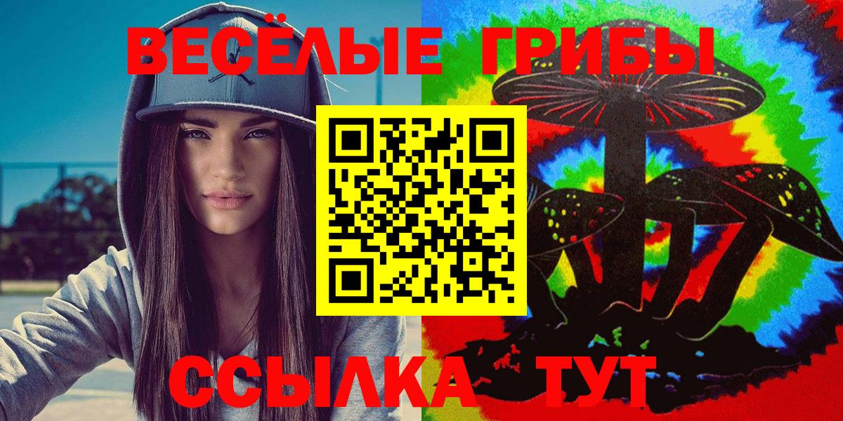 Псилоцибиновые грибы Psilocybine cubensis Ханты-Мансийск